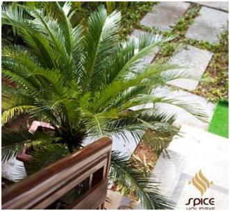 Spice Holidays Kochi Bagian luar foto
